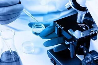 企业典型 天伟生物公司紧盯结冷胶 从投产失败到登陆 新三板