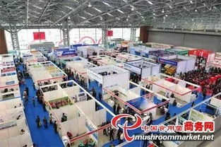 四月合肥国际食用菌大型会展即将启幕 聚焦高新技术赋能产业升级